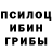 Галлюциногенные грибы Psilocybe antoni0