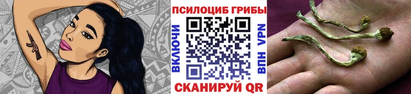 Купить Жуков Псилоцибиновые грибы GOLDEN TEACHER