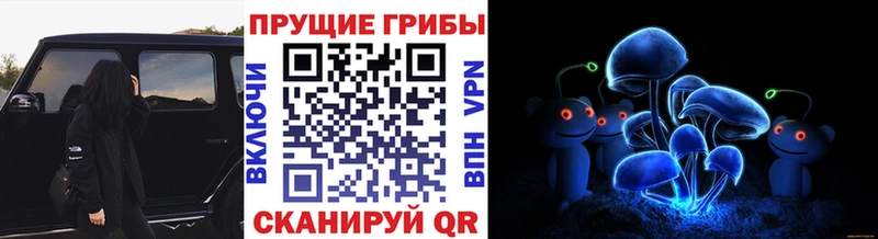 Псилоцибиновые грибы GOLDEN TEACHER Жуков