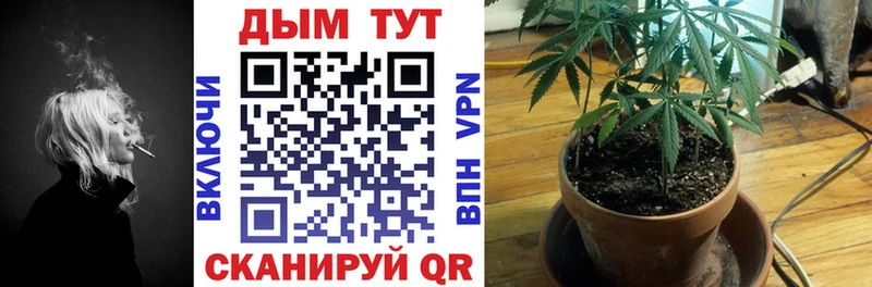 Конопля Bruce Banner  Купить где  Жуков 